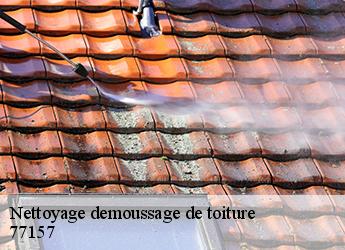 Nettoyage demoussage de toiture 77157
