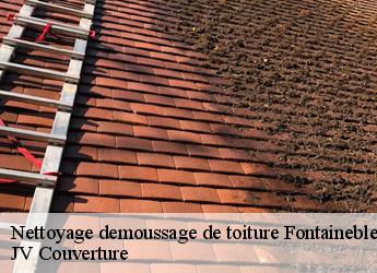 Nettoyage demoussage de toiture 77300