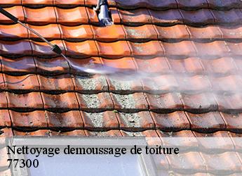 Nettoyage demoussage de toiture 77300