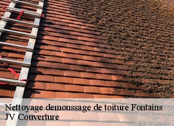 Nettoyage demoussage de toiture 77370