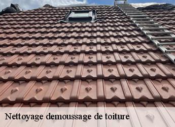 Nettoyage demoussage de toiture