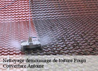 Nettoyage demoussage de toiture  fouju-77390 Couverture Antoine