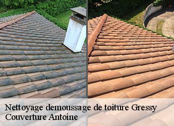 Nettoyage demoussage de toiture 77410