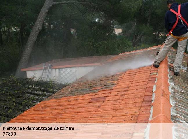 Nettoyage demoussage de toiture  77850