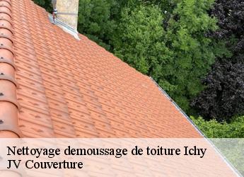 Nettoyage demoussage de toiture