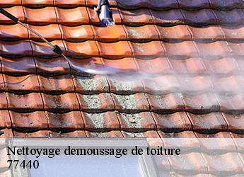 Nettoyage demoussage de toiture  77440