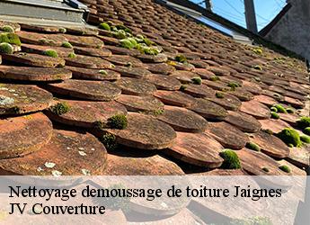 Nettoyage demoussage de toiture  77440