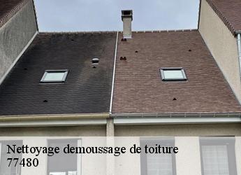 Nettoyage demoussage de toiture  77480