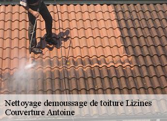 Nettoyage demoussage de toiture