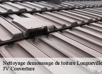 Nettoyage demoussage de toiture  longueville-77650 Artisan Romero David