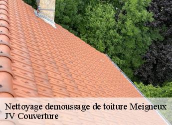 Nettoyage demoussage de toiture