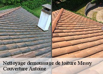 Nettoyage demoussage de toiture  77410