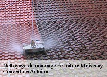 Nettoyage demoussage de toiture  moisenay-77950 Couverture Antoine
