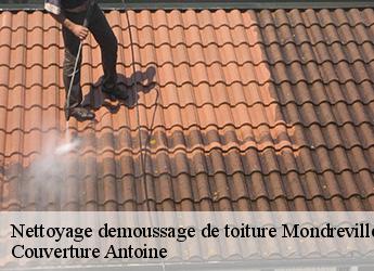 Nettoyage demoussage de toiture