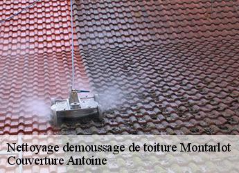 Nettoyage demoussage de toiture  montarlot-77250 Couverture Antoine