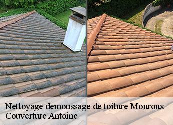 Nettoyage demoussage de toiture  77120