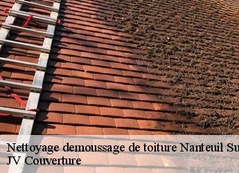 Nettoyage demoussage de toiture  77730