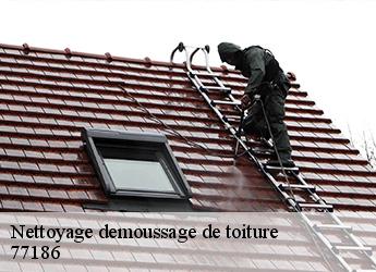 Nettoyage demoussage de toiture