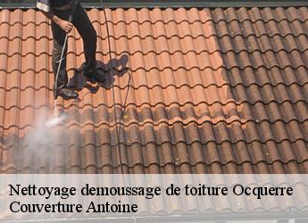 Nettoyage demoussage de toiture