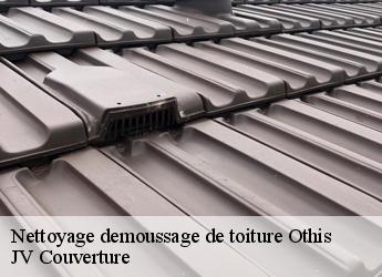 Nettoyage demoussage de toiture othis-77280