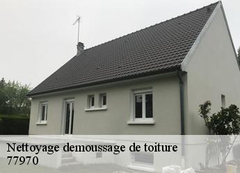 Nettoyage demoussage de toiture 77970