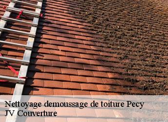 Nettoyage demoussage de toiture 77970