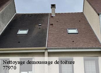 Nettoyage demoussage de toiture 77970