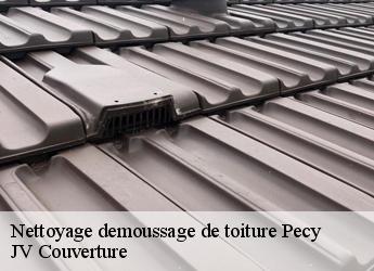 Nettoyage demoussage de toiture pecy-77970 Artisan Romero David