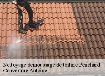 Nettoyage demoussage de toiture