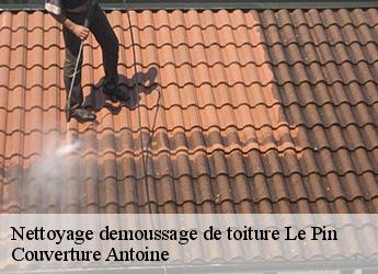 Nettoyage demoussage de toiture