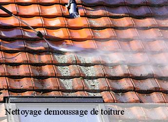Nettoyage demoussage de toiture