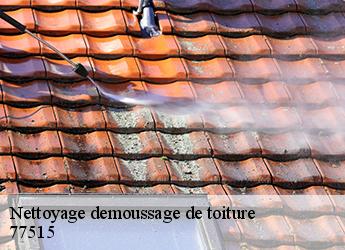 Nettoyage demoussage de toiture 77515
