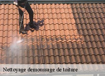 Nettoyage demoussage de toiture