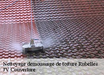 Nettoyage demoussage de toiture rubelles-77950 JV Couverture