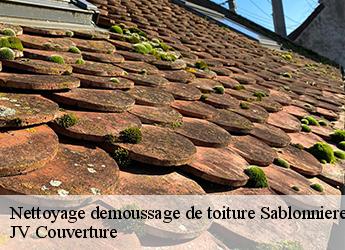 Nettoyage demoussage de toiture 77510
