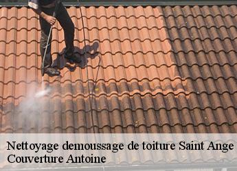 Nettoyage demoussage de toiture