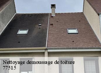 Nettoyage demoussage de toiture 77515