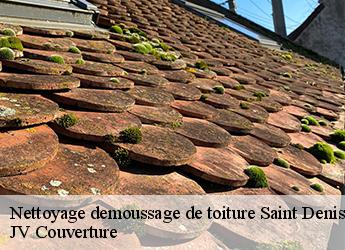 Nettoyage demoussage de toiture 77510