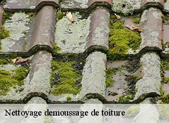Nettoyage demoussage de toiture