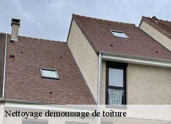 Nettoyage demoussage de toiture 77320