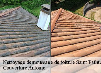 Nettoyage demoussage de toiture 77178