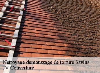 Nettoyage demoussage de toiture 77650