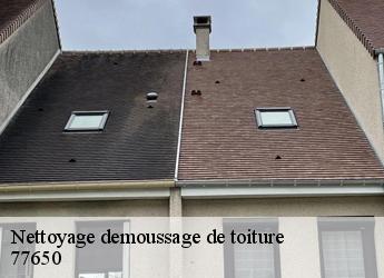 Nettoyage demoussage de toiture 77650