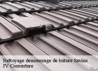Nettoyage demoussage de toiture savins-77650 Artisan Romero David