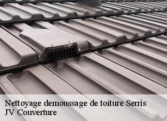 Nettoyage demoussage de toiture serris-77700 Artisan Romero David