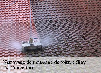 Nettoyage demoussage de toiture sigy-77520 JV Couverture