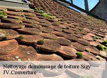 Nettoyage demoussage de toiture 77520