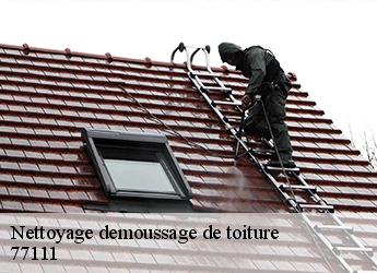 Nettoyage demoussage de toiture