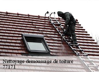 Nettoyage demoussage de toiture