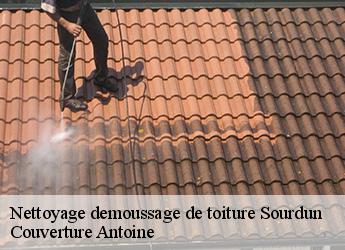 Nettoyage demoussage de toiture